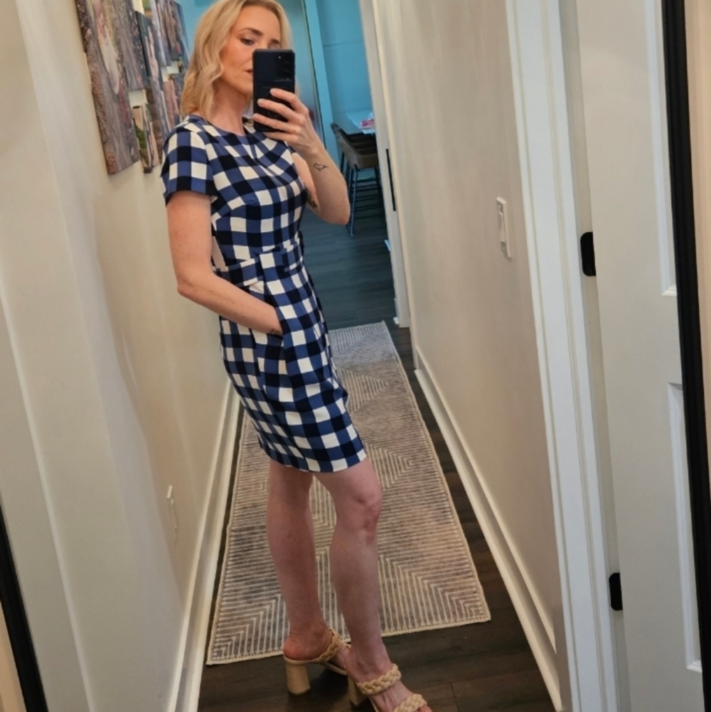 NWT Cynthia Steffe Blue and White Checkered Dress - Size 0 - Picture 5 of 16